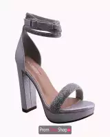 Silver Shimmer